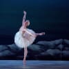 Chloe Keneally as Odette in My First Ballet Swan Lake