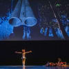 The Royal Ballet School in Liam Scarlett's The Cunning Little Vixen