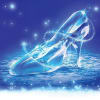 Cinderella headed to Blackpool
