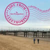 "Bringing art to the doorstep": Love From Cleethorpes