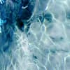 The Drowned World