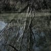 The Flood