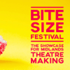 “Amazing opportunity to see a huge range of work”: Bite Size Festival