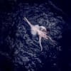 Swan Lake
