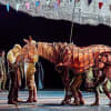 War Horse