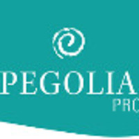 Vaga Emprego Representante comercial Vila Regente Feijó SAO PAULO São Paulo OUTROS PEGOLIA PRO Vaga Emprego Representante comercial Vila Regente Feijó SAO PAULO São Paulo OUTROS PEGOLIA PRO