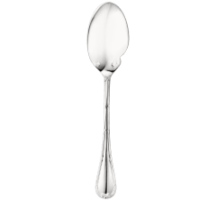 Jardin D/'Eden by Christofle Silverplate Sauce Spoon 6 3//4/" Serving
