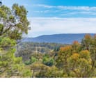 Armidale Town & Country