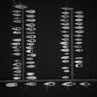 Williams Real Estate