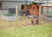 Education & Training Business in Lockhart