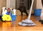 Cleaning Services Business in Balaclava