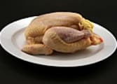 Takeaway Food Business in Sydney