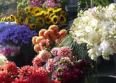Home & Garden Business in Box Hill