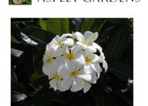 Accommodation & Tourism Business in Aspley