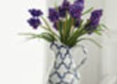 Homeware & Hardware Business in Sydney