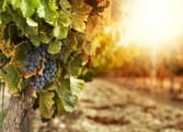 Food, Beverage & Hospitality Business in Leeton