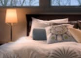 Accommodation & Tourism Business in Brisbane City
