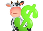 Butcher Business in QLD