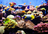 Animal Related Business in Mooloolaba