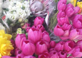 Garden & Household Business in VIC