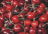 Fruit, Veg & Fresh Produce Business in Brisbane City