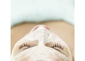 Beauty Products Business in Glenroy