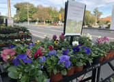 Retail Business in Caulfield South