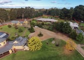 Accommodation & Tourism Business in Melbourne