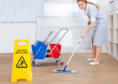 Cleaning & Maintenance Business in Browns Plains
