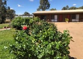 Motel Business in Narrandera