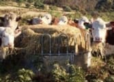 Transport, Distribution & Storage Business in Cooma