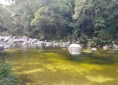 Food, Beverage & Hospitality Business in Daintree