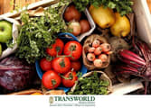Beauty, Health & Fitness Business in QLD