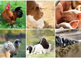 Rural & Farming Business in Mooloolaba