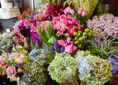 Retail Business in NSW