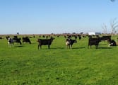 Rural & Farming Business in VIC