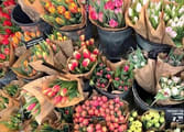 Florist / Nursery Business in Gladesville