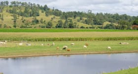 Rural / Farming commercial property sold at 2351 Clarence Way Upper Copmanhurst NSW 2460