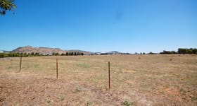 Development / Land commercial property for sale at Lot 251 Albertson Road Barnawartha North VIC 3691