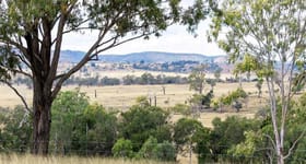 Rural / Farming commercial property sold at Gayndah Cattle Country/232 Pile Gully Road Pile Gully QLD 4625