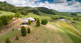 Rural / Farming commercial property for sale at Lot 36 / 204 Sluice Creek Road Evelyn QLD 4888