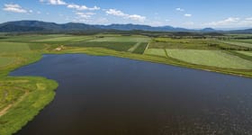 Rural / Farming commercial property for sale at Blue Mountain QLD 4737