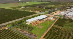 Rural / Farming commercial property for sale at Mourquong Pack Sheds Silver City Highway & 99 Link Road Mourquong NSW 2739