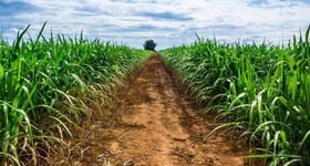 Rural / Farming commercial property for sale at Innisfail-Japoon Road Japoonvale QLD 4856