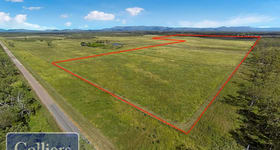 Rural / Farming commercial property for sale at 86 Webb Road Majors Creek QLD 4816