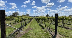 Rural / Farming commercial property for sale at Sienna Vineyard Riddoch Highway Penola SA 5277 Rural / Farming commercial property for sale at Sienna Vineyard Riddoch Highway Penola SA 5277
