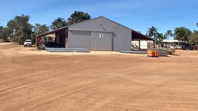 Factory, Warehouse & Industrial commercial property for sale at 5 McDaniel Road Minyirr WA 6725