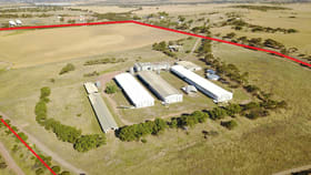 Factory, Warehouse & Industrial commercial property for sale at 1036 Geraldton Mount Magnet Road Moonyoonooka WA 6532