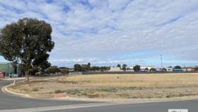 Development / Land commercial property for sale at 20 Roseworthy Road Roseworthy SA 5371
