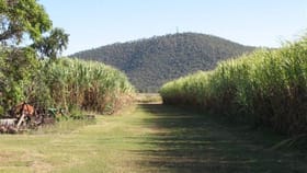 Rural / Farming commercial property for sale at 27282 Bruce Highway, Inkerman Home Hill QLD 4806